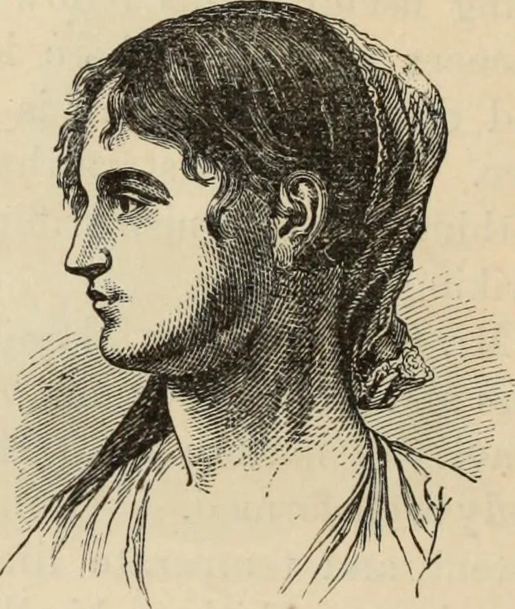 An illustration from New Physiognomy : or signs of character, as manifested through temperament and external forms, and especially in the "the human face divine.", 1889, leaf 683