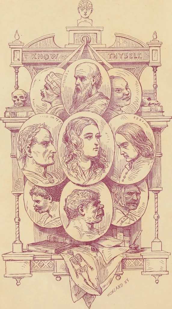 An illustration from New Physiognomy : or signs of character, as manifested through temperament and external forms, and especially in the "the human face divine.", 1889, leaf 7