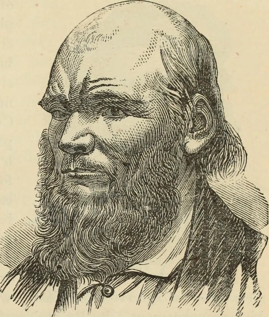 An illustration from New Physiognomy : or signs of character, as manifested through temperament and external forms, and especially in the "the human face divine.", 1889, leaf 700
