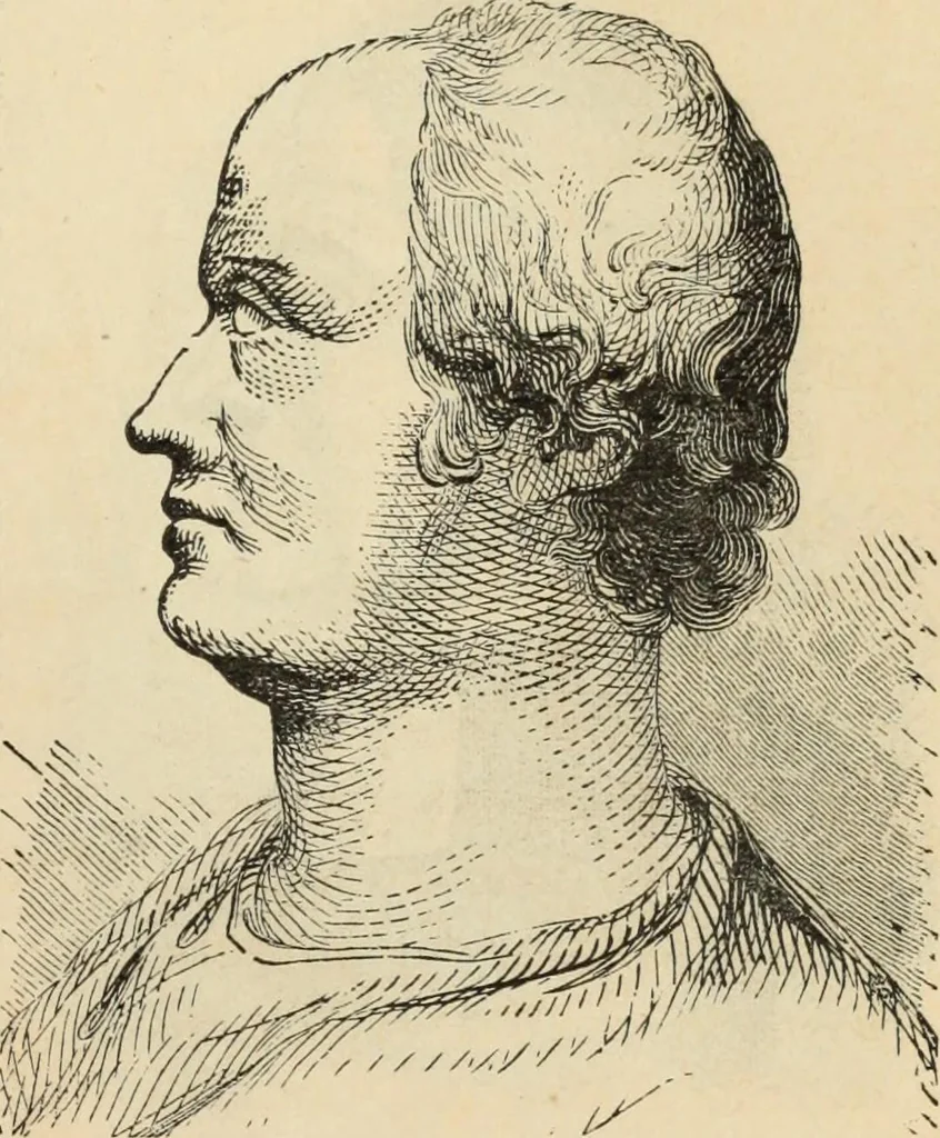 An illustration from New Physiognomy : or signs of character, as manifested through temperament and external forms, and especially in the "the human face divine.", 1889, leaf 730
