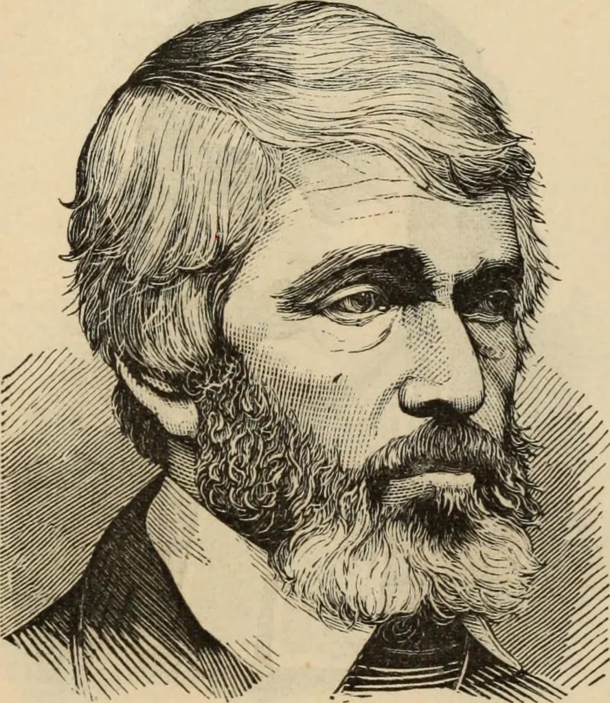 An illustration from New Physiognomy : or signs of character, as manifested through temperament and external forms, and especially in the "the human face divine.", 1889, leaf 733