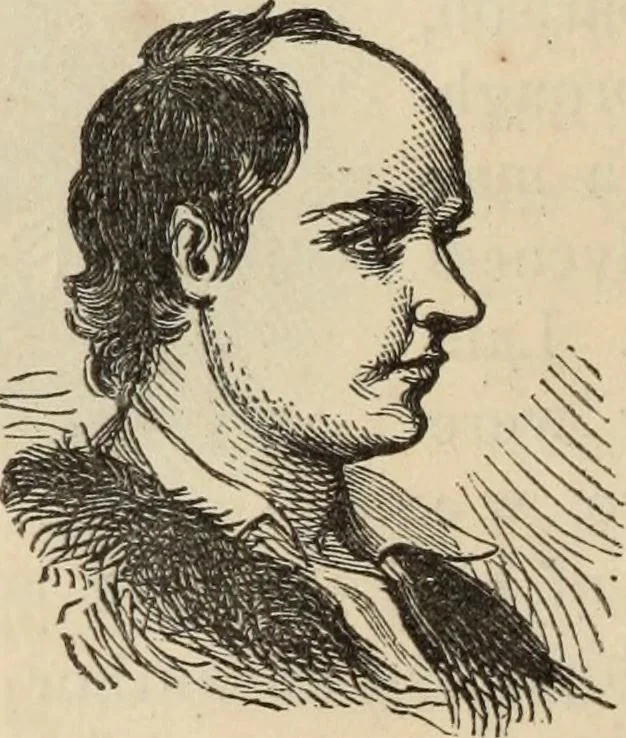 An illustration from New Physiognomy : or signs of character, as manifested through temperament and external forms, and especially in the "the human face divine.", 1889, leaf 735