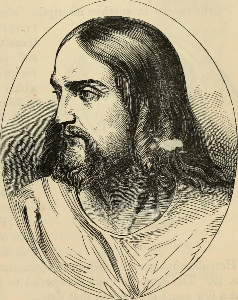 An illustration from New Physiognomy : or signs of character, as manifested through temperament and external forms, and especially in the "the human face divine.", 1889, leaf 738