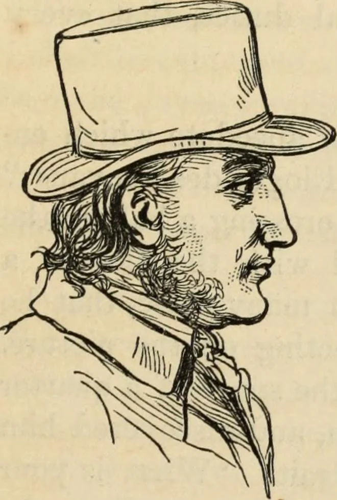 An illustration from New Physiognomy : or signs of character, as manifested through temperament and external forms, and especially in the "the human face divine.", 1889, leaf 742