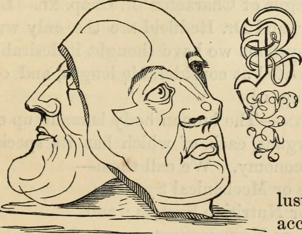 An illustration from New Physiognomy : or signs of character, as manifested through temperament and external forms, and especially in the "the human face divine.", 1889, leaf 746