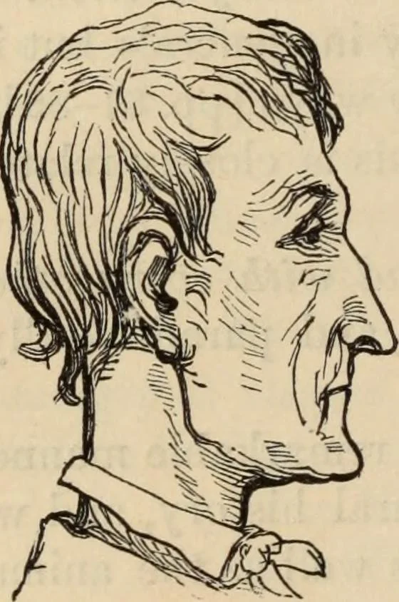 An illustration from New Physiognomy : or signs of character, as manifested through temperament and external forms, and especially in the "the human face divine.", 1889, leaf 749