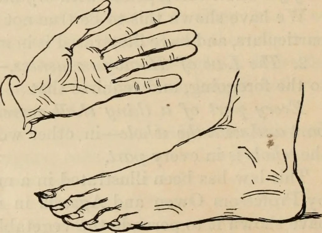An illustration from New Physiognomy : or signs of character, as manifested through temperament and external forms, and especially in the "the human face divine.", 1889, leaf 749