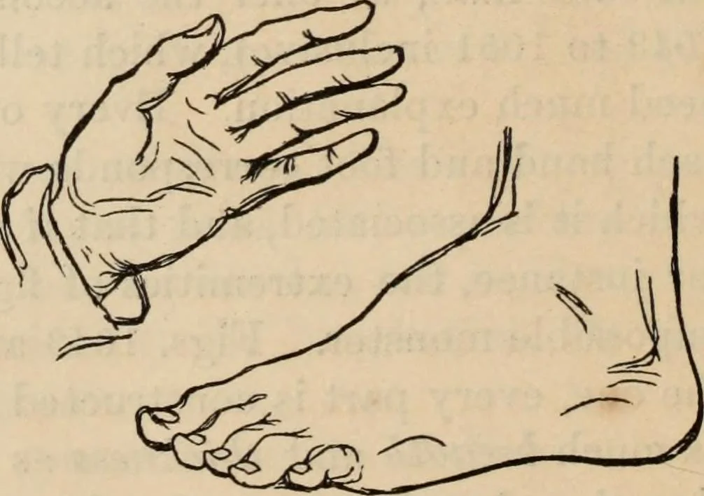 An illustration from New Physiognomy : or signs of character, as manifested through temperament and external forms, and especially in the "the human face divine.", 1889, leaf 749