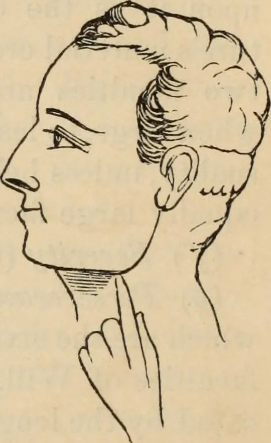 An illustration from New Physiognomy : or signs of character, as manifested through temperament and external forms, and especially in the "the human face divine.", 1889, leaf 75