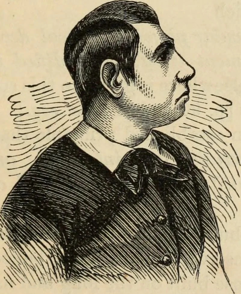 An illustration from New Physiognomy : or signs of character, as manifested through temperament and external forms, and especially in the "the human face divine.", 1889, leaf 750