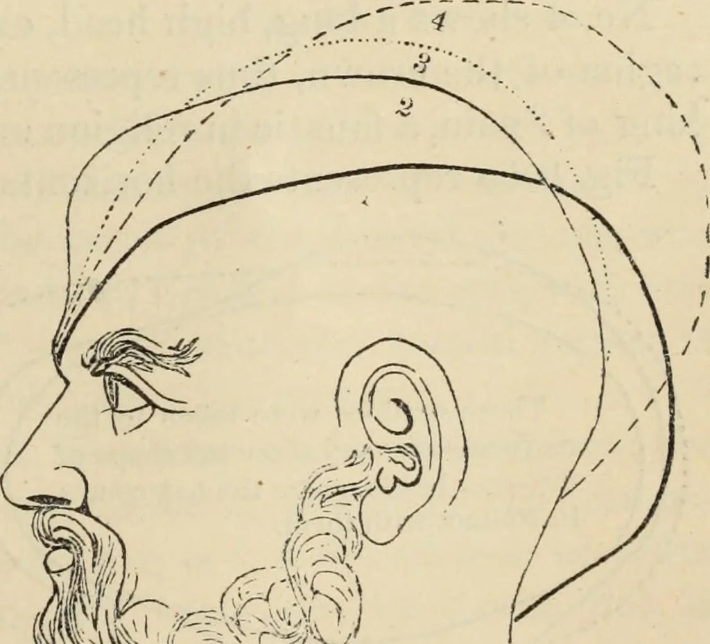 An illustration from New Physiognomy : or signs of character, as manifested through temperament and external forms, and especially in the "the human face divine.", 1889, leaf 754