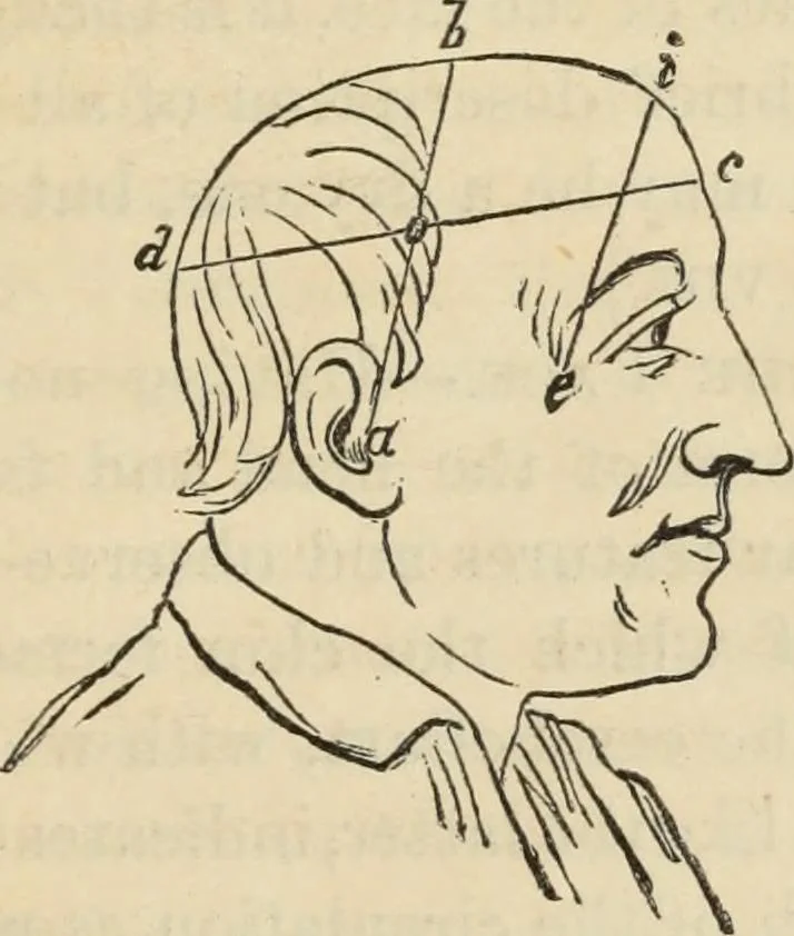 An illustration from New Physiognomy : or signs of character, as manifested through temperament and external forms, and especially in the "the human face divine.", 1889, leaf 756