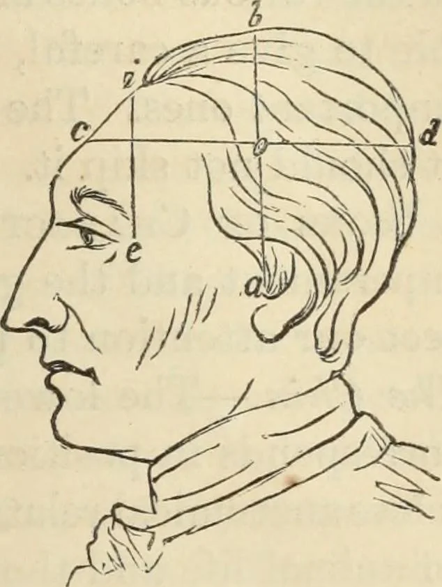 An illustration from New Physiognomy : or signs of character, as manifested through temperament and external forms, and especially in the "the human face divine.", 1889, leaf 756