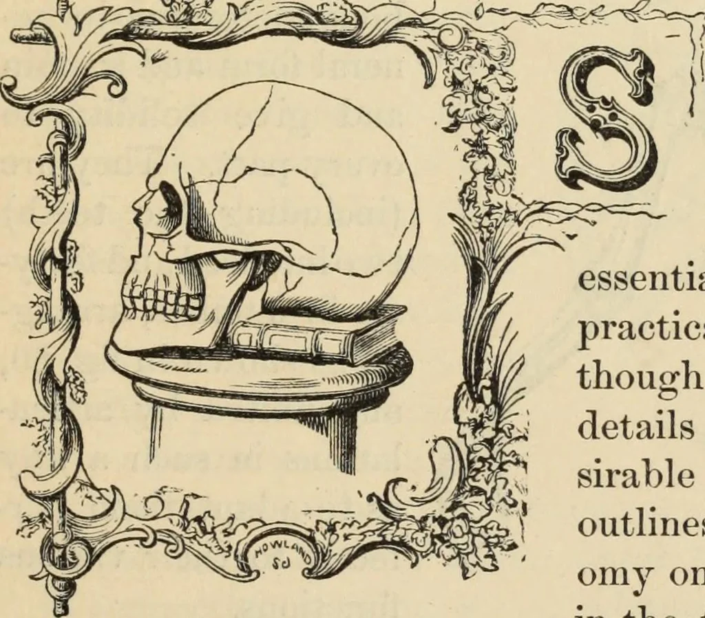 An illustration from New Physiognomy : or signs of character, as manifested through temperament and external forms, and especially in the "the human face divine.", 1889, leaf 76