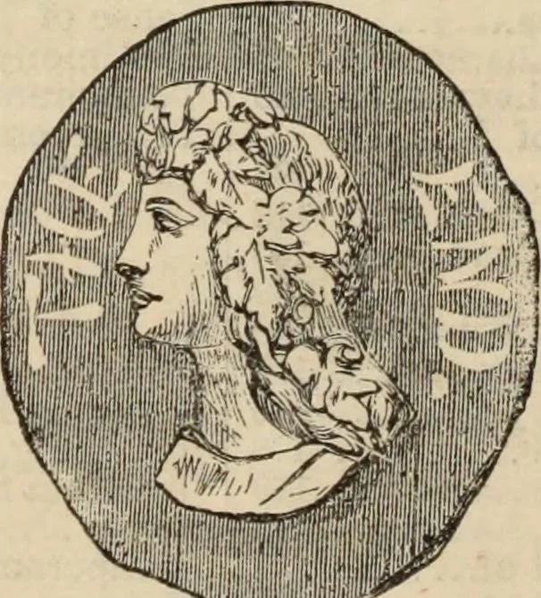 An illustration from New Physiognomy : or signs of character, as manifested through temperament and external forms, and especially in the "the human face divine.", 1889, leaf 775