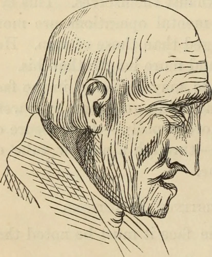 An illustration from New Physiognomy : or signs of character, as manifested through temperament and external forms, and especially in the "the human face divine.", 1889, leaf 99