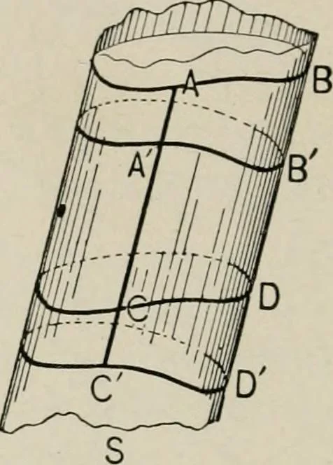 An illustration from New plane and solid geometry, 1899, leaf 337