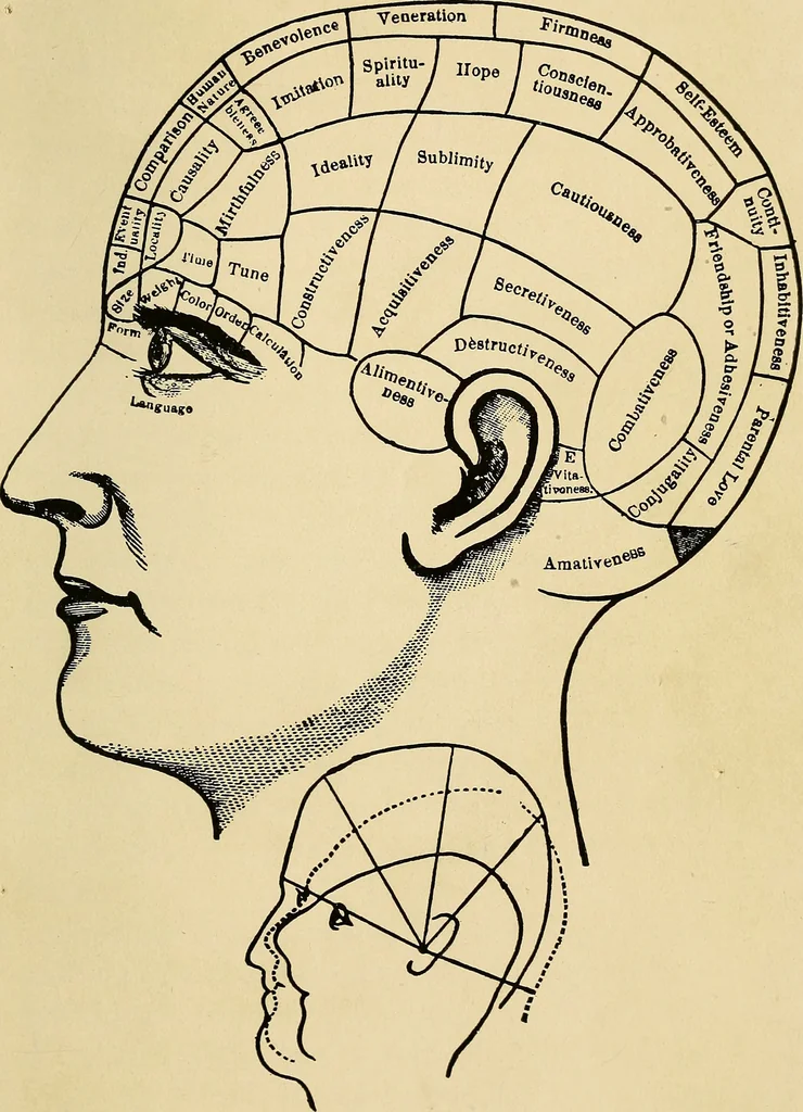 An illustration from The new science of analyzing character, 1920, leaf 130