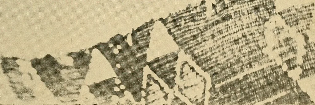 An illustration from The new science of analyzing character, 1920, leaf 292
