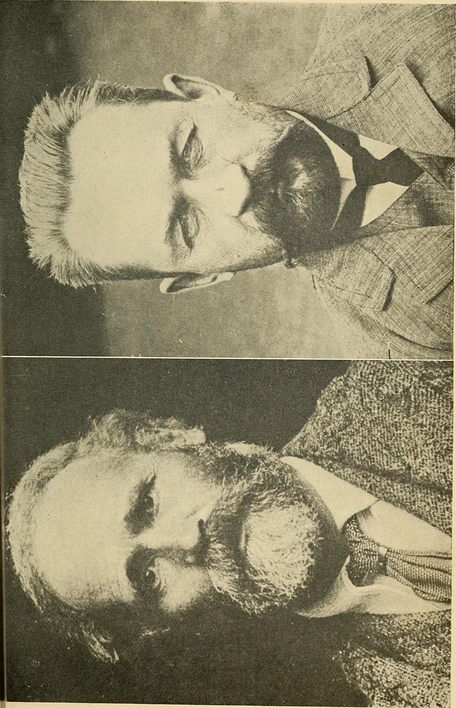 An illustration from The new science of analyzing character, 1920, leaf 96