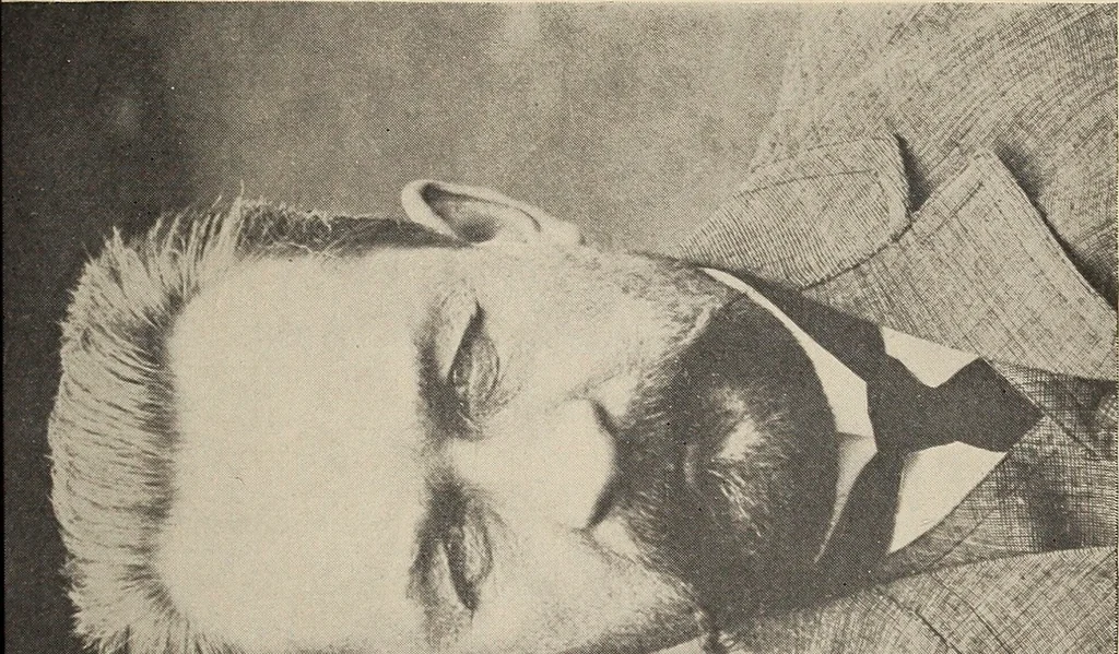 An illustration from The new science of analyzing character, 1920, leaf 98