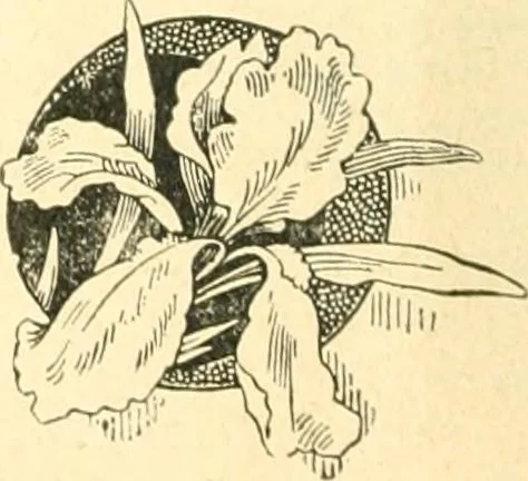 An illustration from The Newspaper man, 1893, leaf 23