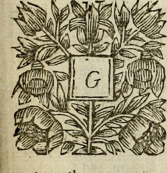 An illustration from A new systeme of geography : designed in a most plain and easie method, for the better understanding of that science : accommodated with new maps, of all the empires, kingdoms, principalities, dukedoms, provinces and countries in the whole world : with geographical tables, explaining the divisions in each map, 1694, leaf 8