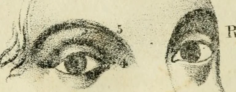 An illustration from A new system of phrenology, 1839, leaf 123