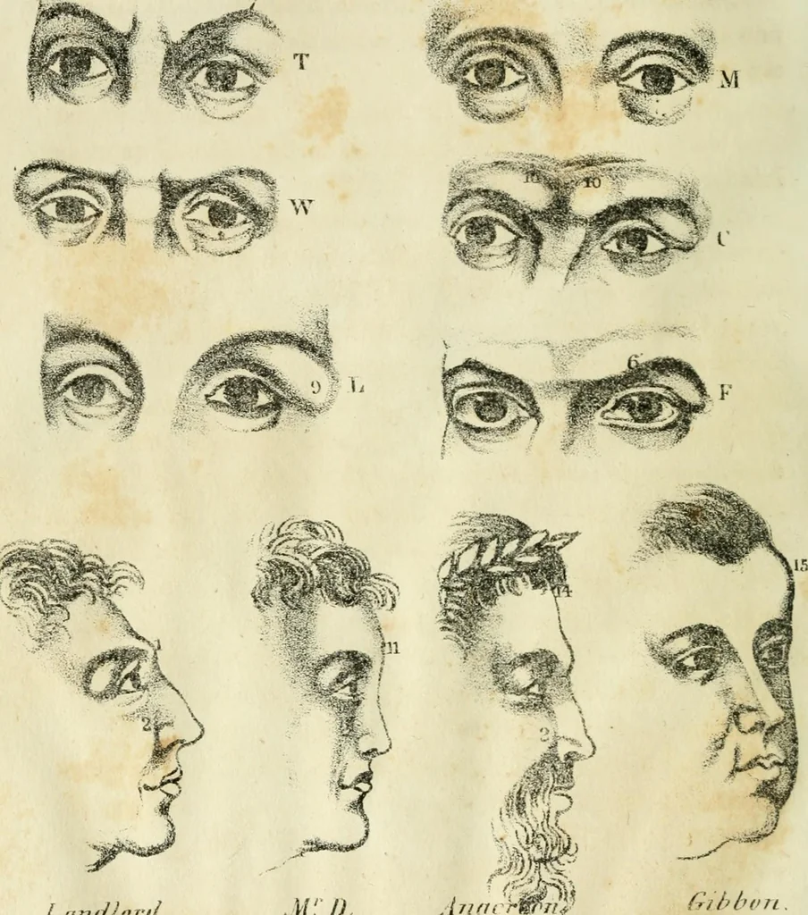 An illustration from A new system of phrenology, 1839, leaf 123