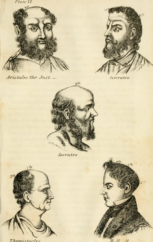 An illustration from A new system of phrenology, 1839, leaf 306