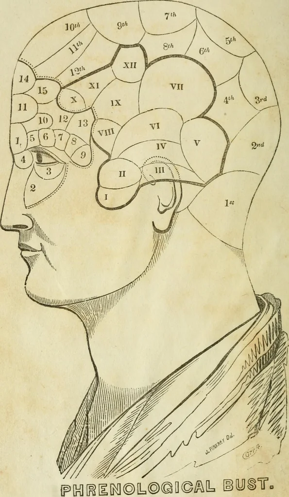 An illustration from A new system of phrenology, 1839, leaf 7