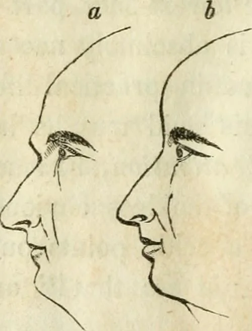 An illustration from A new system of phrenology, 1839, leaf 75