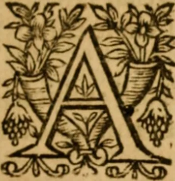 An illustration from The New Testament of Iesus Christ : faithfully translated into English, out of the authentical Latin, diligently conferred with the Greek, & other editions in divers languages : with arguments of books and chapters : annotations, and other helps ..., 1633, leaf 276