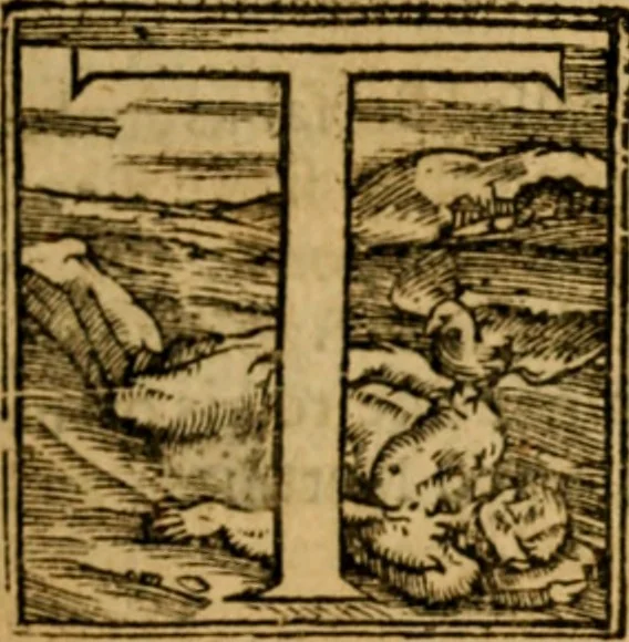An illustration from The New Testament of Iesus Christ : faithfully translated into English, out of the authentical Latin, diligently conferred with the Greek, & other editions in divers languages : with arguments of books and chapters : annotations, and other helps ..., 1633, leaf 288