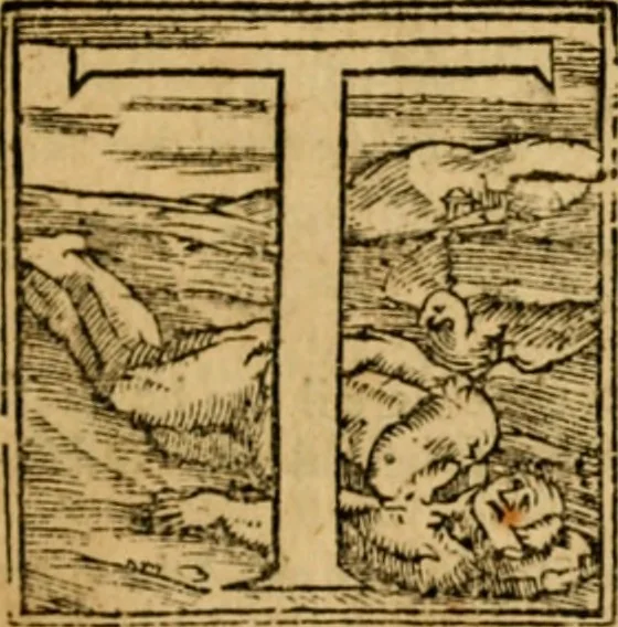 An illustration from The New Testament of Iesus Christ : faithfully translated into English, out of the authentical Latin, diligently conferred with the Greek, & other editions in divers languages : with arguments of books and chapters : annotations, and other helps ..., 1633, leaf 30