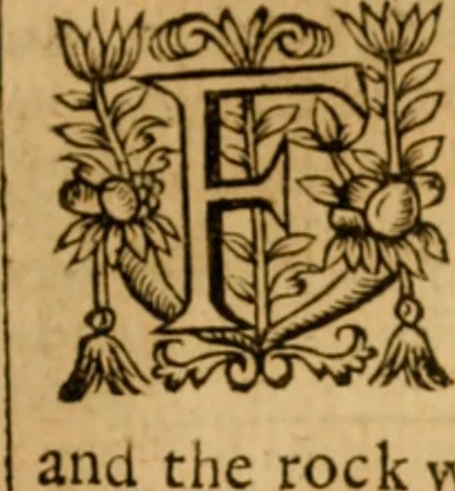 An illustration from The New Testament of Iesus Christ : faithfully translated into English, out of the authentical Latin, diligently conferred with the Greek, & other editions in divers languages : with arguments of books and chapters : annotations, and other helps ..., 1633, leaf 430
