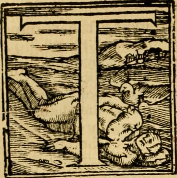 An illustration from The New Testament of Iesus Christ : faithfully translated into English, out of the authentical Latin, diligently conferred with the Greek, & other editions in divers languages : with arguments of books and chapters : annotations, and other helps ..., 1633, leaf 65