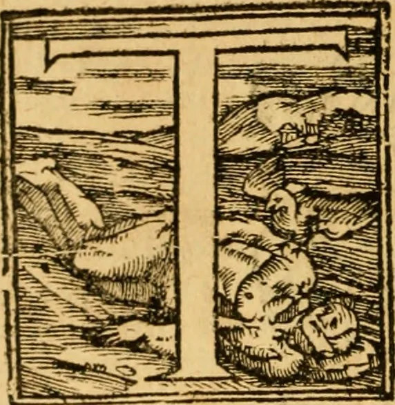 An illustration from The New Testament of Iesus Christ : faithfully translated into English, out of the authentical Latin, diligently conferred with the Greek, & other editions in divers languages : with arguments of books and chapters : annotations, and other helps ..., 1633, leaf 667