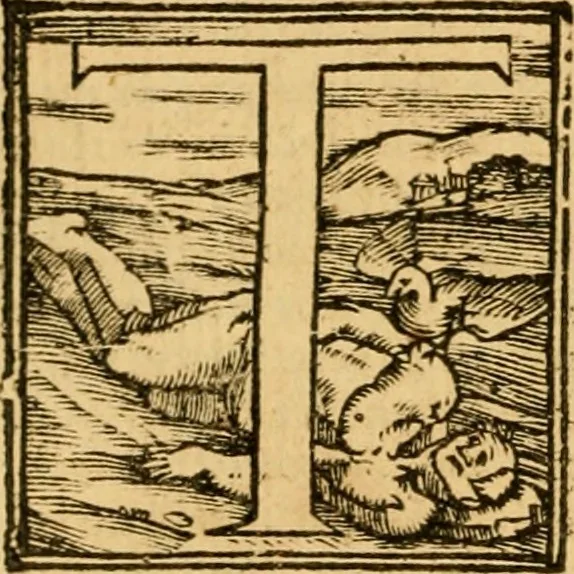 An illustration from The New Testament of Iesus Christ : faithfully translated into English, out of the authentical Latin, diligently conferred with the Greek, & other editions in divers languages : with arguments of books and chapters : annotations, and other helps ..., 1633, leaf 669
