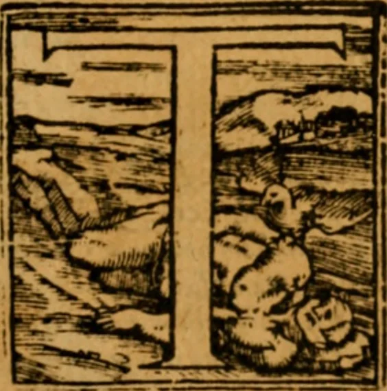 An illustration from The New Testament of Iesus Christ : faithfully translated into English, out of the authentical Latin, diligently conferred with the Greek, & other editions in divers languages : with arguments of books and chapters : annotations, and other helps ..., 1633, leaf 678