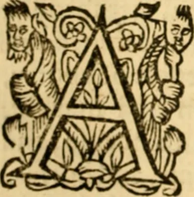 An illustration from The New Testament of Iesus Christ : faithfully translated into English, out of the authentical Latin, diligently conferred with the Greek, & other editions in divers languages : with arguments of books and chapters : annotations, and other helps ..., 1633, leaf 711