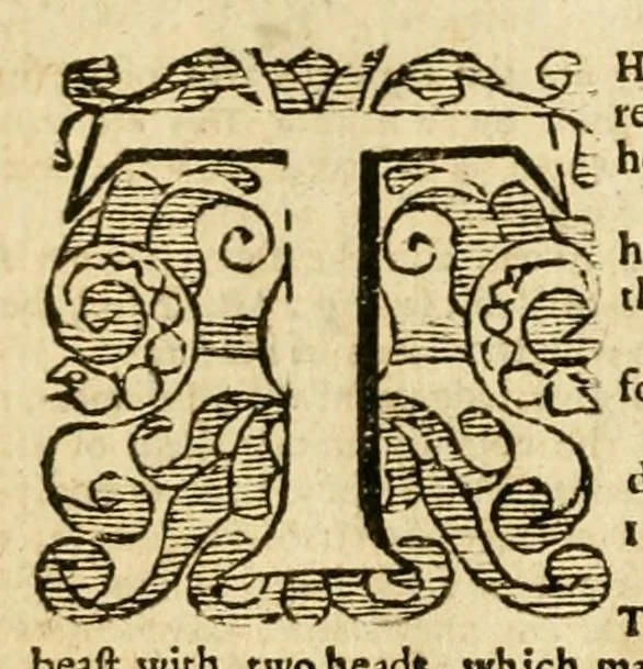 An illustration from The New Testament of our Lord Iesus Christ : translated out of Greeke by Theod. Beza ; with brief summaries and expositions upon the hard places by the said authour, Ioac. Camer., and P. Lofeler Villerius ; Englished by L. Tomson ; with annotations of Fr. Iunius upon Revelation, 1599, leaf 220