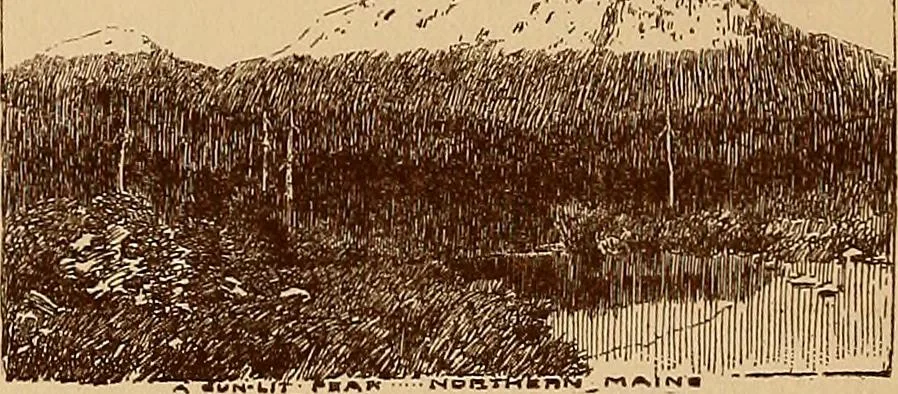 An illustration from Newton Club catalogue of paintings : [exhibition] from December the 9th to December the 17th, 1896, 1896, leaf 41