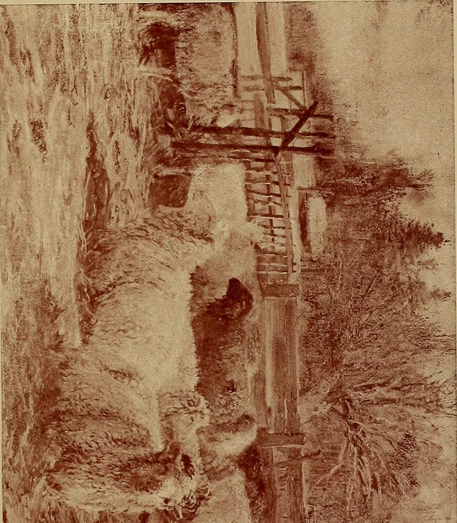 An illustration from Newton Club catalogue of paintings : [exhibition] from December the 9th to December the 17th, 1896, 1896, leaf 48