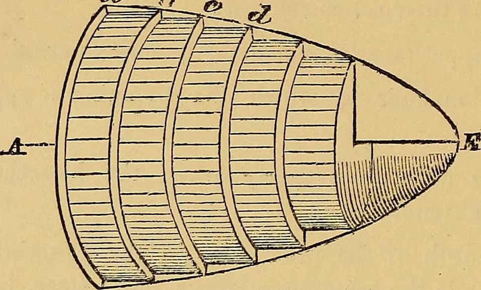 An illustration from Newton's principia, first book sections I, II, III, with notes and illustrations and a collection of problems, principally intended as examples of Newton's methods, 1900, leaf 39