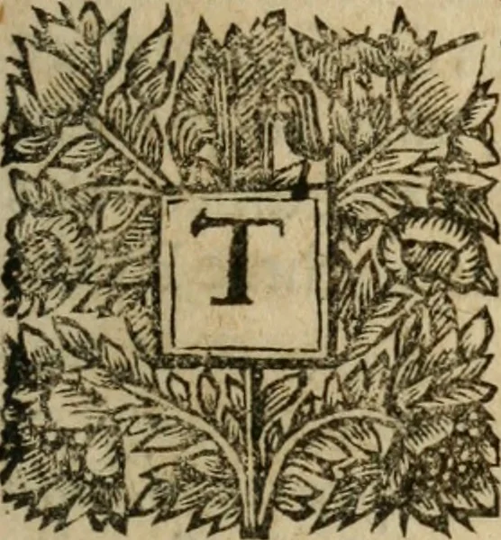 An illustration from A new touch-stone for gold and silver wares .., 1708, leaf 26