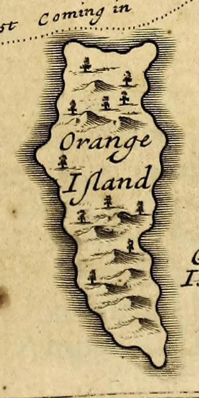 An illustration from A new voyage round the world. : Describing particularly, the isthmus of America, several coasts and islands in the West Indies, the Isles of Cape Verd, the passage by Terra del Fuego, the South Sea coasts of Chili, Peru, and Mexico; the Isle of Guam one of the Ladrones, Mindanao, and other Philippine and East India islands, near Cambodia, China, Formosa, Luconia, Celebes, &c. New Holland, Sumatra, Nicobar Isles; the Cape of Good Hope, and Santa Hellena. Their soil, rivers, harbours, plants, fruits, animals, and inhabitants. Their customs, religion, government, trade, &c. Vol. I., 1699, leaf 417
