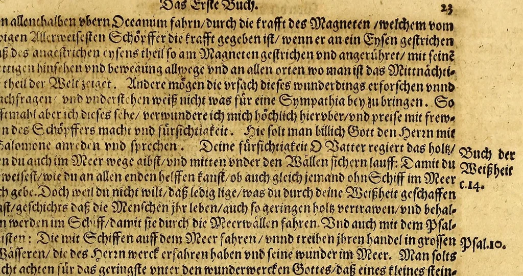 An illustration from New Welt, das ist: Volkommen Beschreibung von Natur, Art vnd Gelegenheit der Newer Welt, die man sonst America oder West-Jndien nennet, : in zwey Theil abgetheilt. ..., 1600, leaf 33