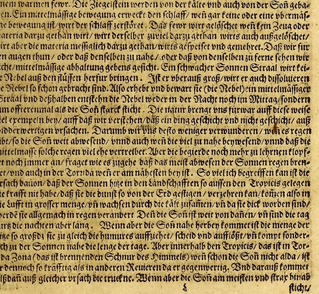 An illustration from New Welt, das ist: Volkommen Beschreibung von Natur, Art vnd Gelegenheit der Newer Welt, die man sonst America oder West-Jndien nennet, : in zwey Theil abgetheilt. ..., 1600, leaf 51