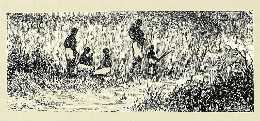 An illustration from The new world of Central Africa. With a history of the first Christian mission on the Congo, 1890, leaf 264
